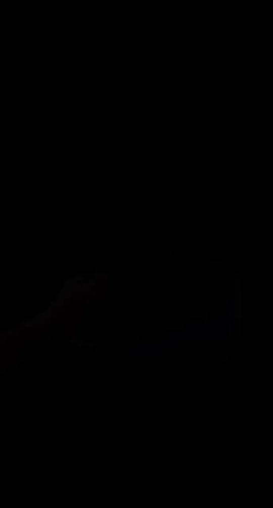 Post 7 by Colette Sossaman on TikTok (video)