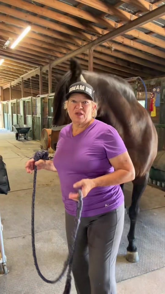 Post 10 by Colette Sossaman on TikTok (video)