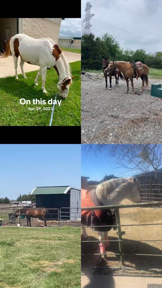 Post 3 by Colette Sossaman on TikTok (video)