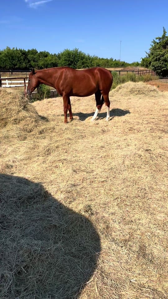 Post 2 by Colette Sossaman on TikTok (video)