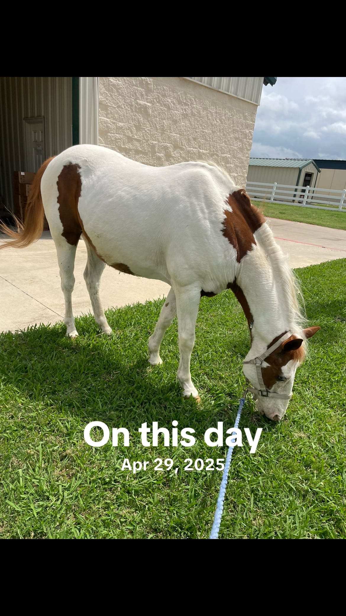Post 4 by Colette Sossaman on TikTok (video)
