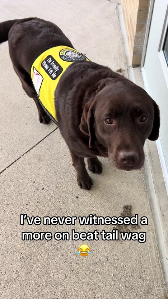Post 2 by Champ🐶& Ms. R🙋🏻‍♀️ on TikTok (video)