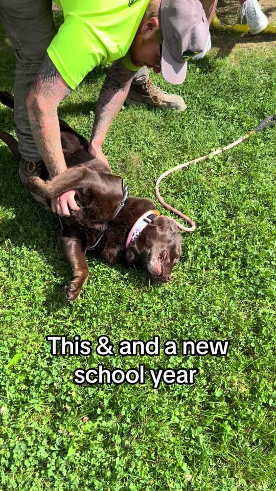 Post 4 by Champ🐶& Ms. R🙋🏻‍♀️ on TikTok (video)