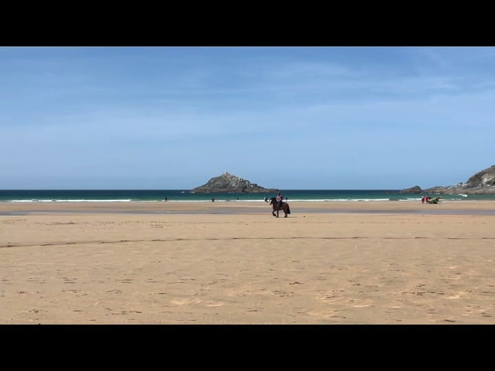 Post 3 by Megan on TikTok (video)