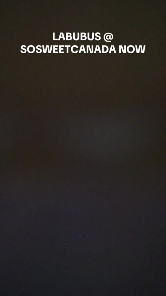 Post 9 by SO SWEET CANADA on TikTok (video)