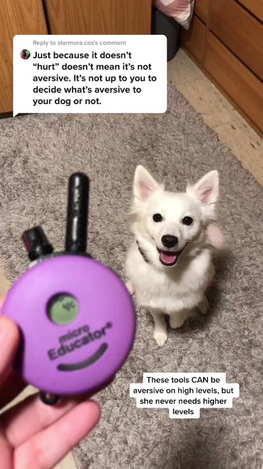 Post 9 by Adventurous.k9 on TikTok (video)