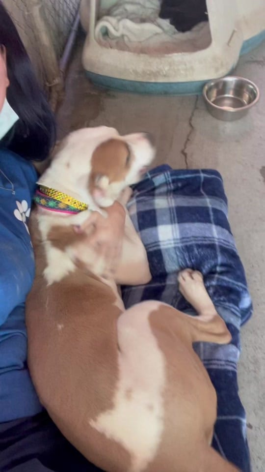 Post 6 by MayaPapaya on TikTok (video)