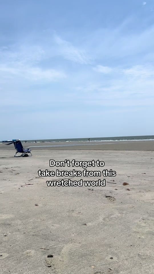 Post 2 by Dee. Resilient Millennial on TikTok (video)