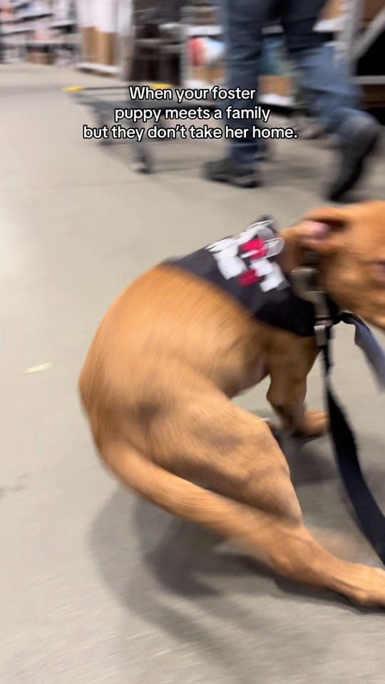 Post 8 by Dee. Resilient Millennial on TikTok (video)