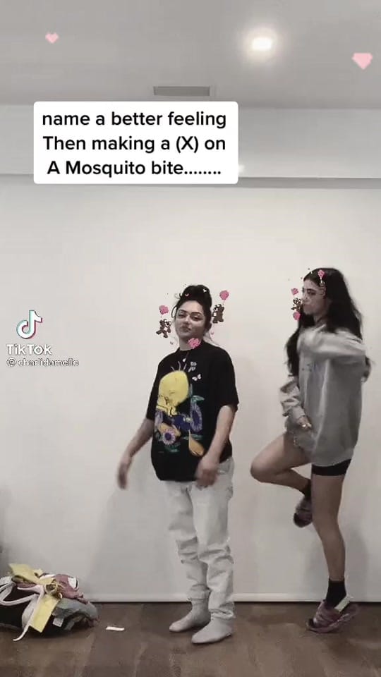 Post 2 by charlidamelio🤍😏 on TikTok (video)