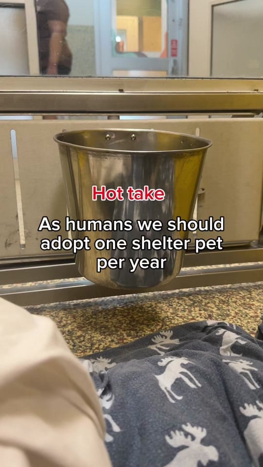 Post 6 by Great Plains SPCA on TikTok (video)