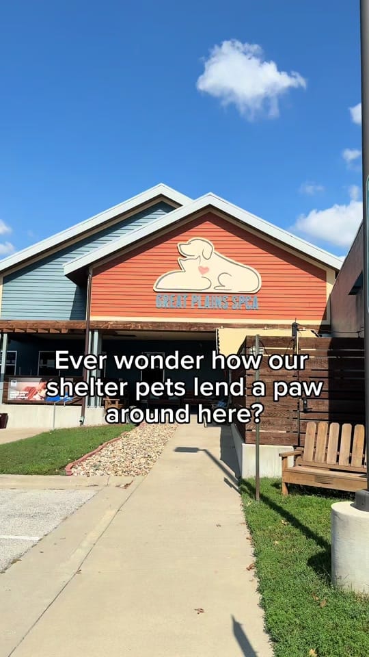 Post 5 by Great Plains SPCA on TikTok (video)