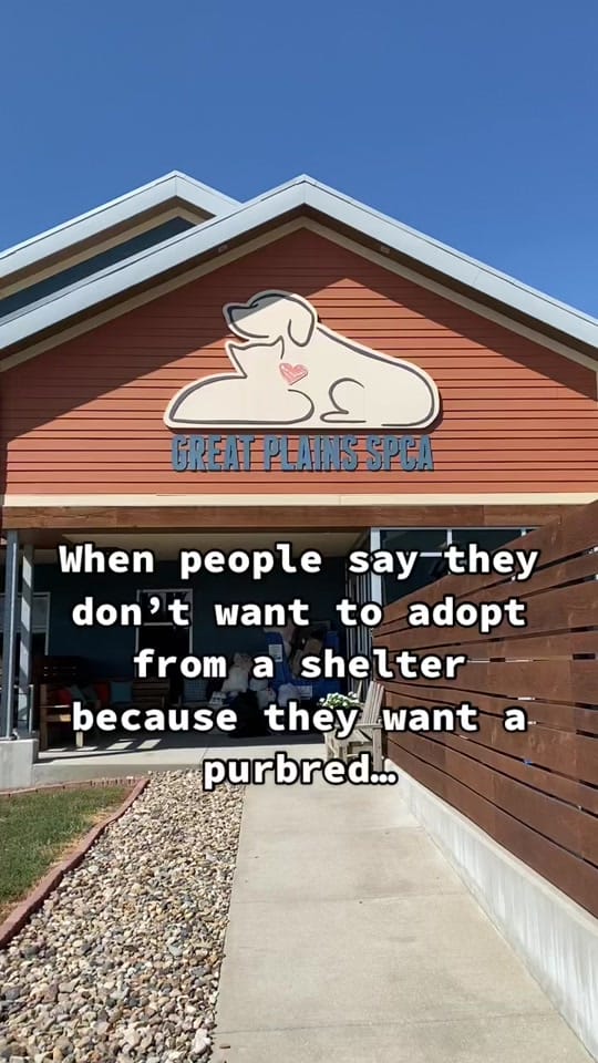 Post 10 by Great Plains SPCA on TikTok (video)
