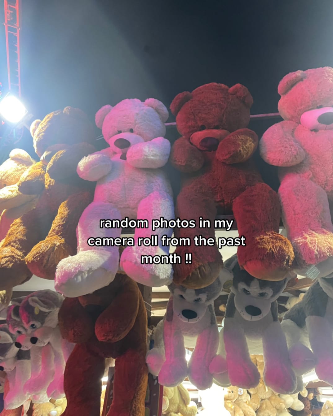 Post 3 by char on TikTok (video)