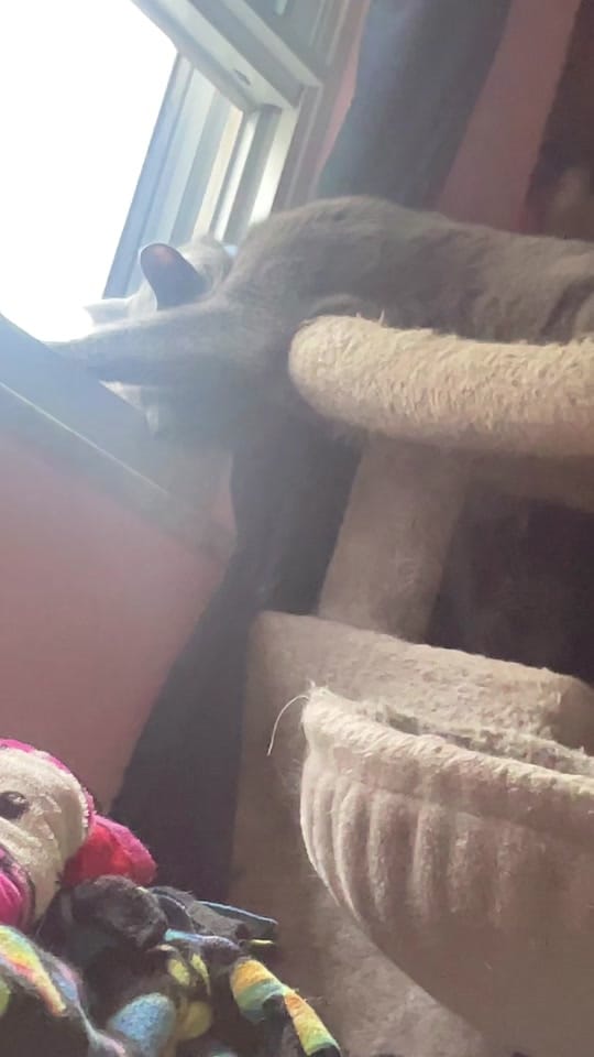 Post 6 by lily christine on TikTok (video)
