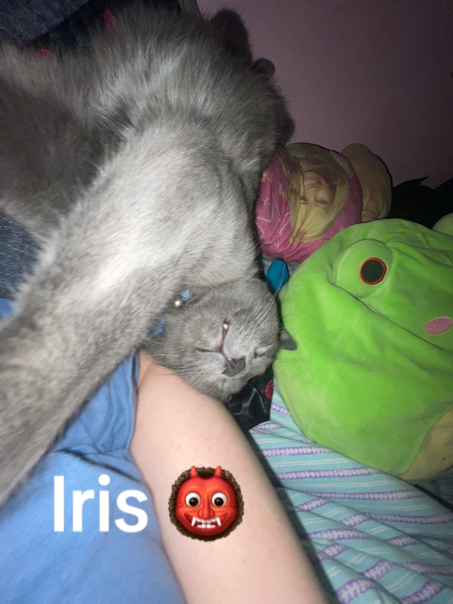Post 5 by lily christine on TikTok (video)