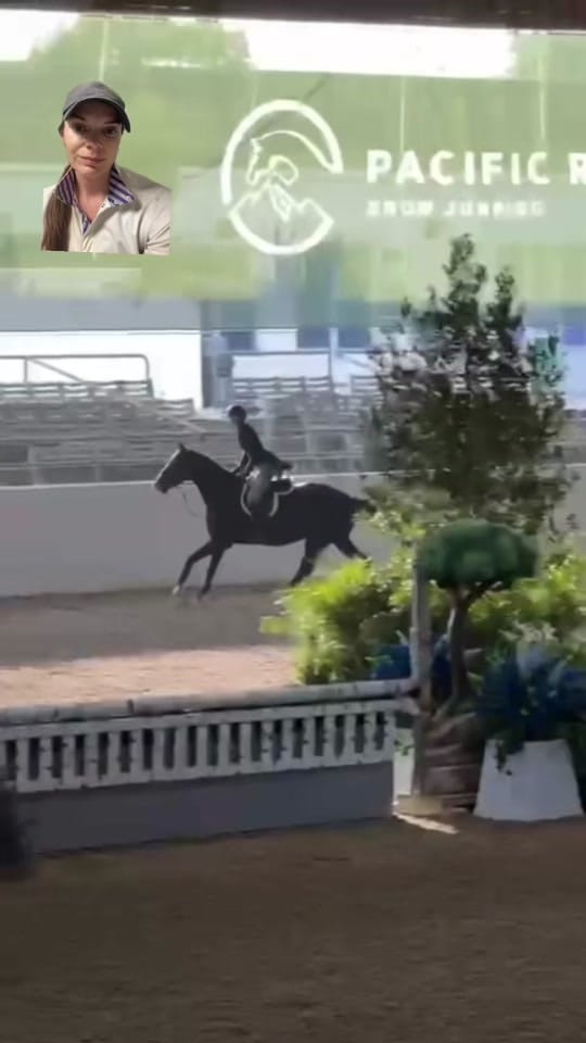 Post 3 by Cellar Door Farm on TikTok (video)