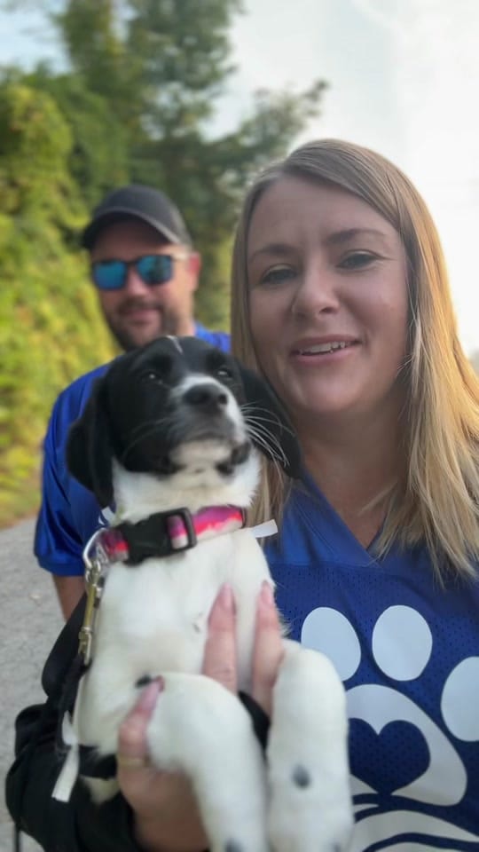 Post 7 by Alexisrescues on TikTok (video)