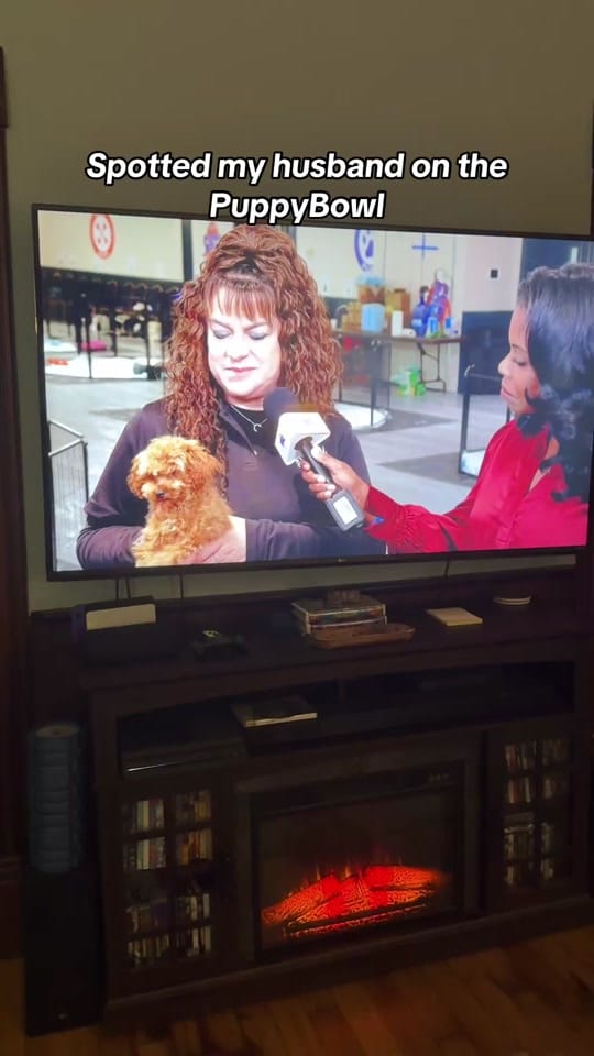 Post 6 by Alexisrescues on TikTok (video)