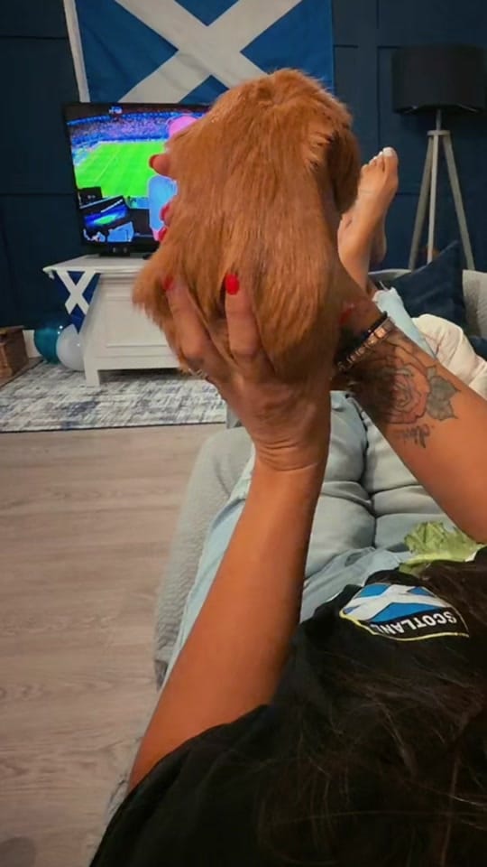 Post 3 by Lolly❤️🏴󠁧󠁢󠁳󠁣󠁴󠁿 on TikTok (video)