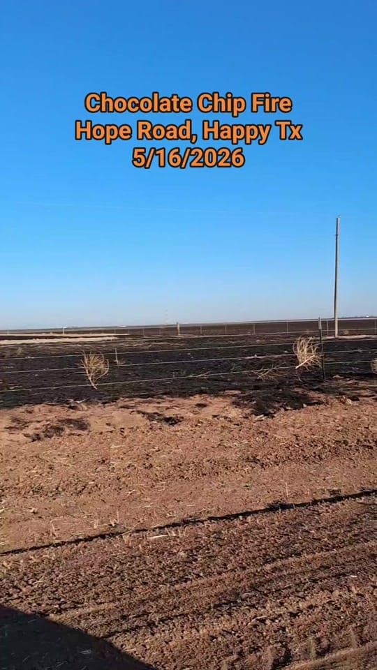 Post 5 by TinyHoovesRescueAndPettingZoo on TikTok (video)