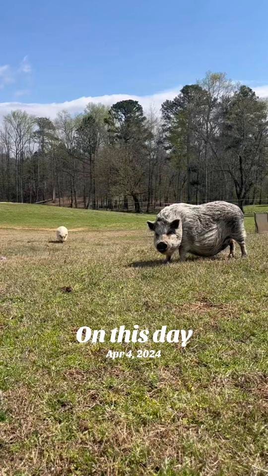 Post 1 by Nicholas Jamerson on TikTok (video)