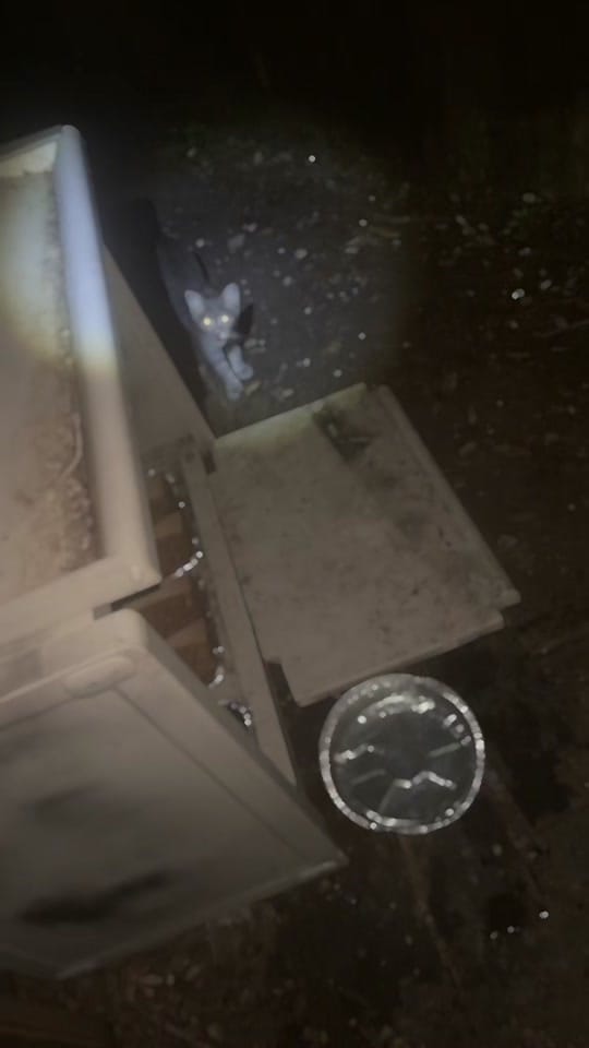 Post 9 by Tattootom1966 on TikTok (video)