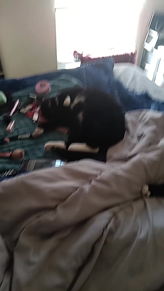 Post 10 by Tattootom1966 on TikTok (video)