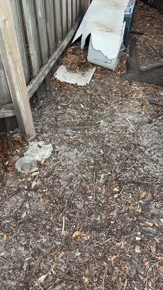 Post 5 by Tattootom1966 on TikTok (video)
