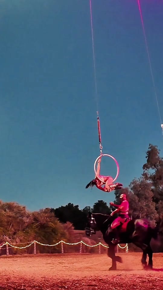 Post 8 by Gladius The Show on TikTok (video)