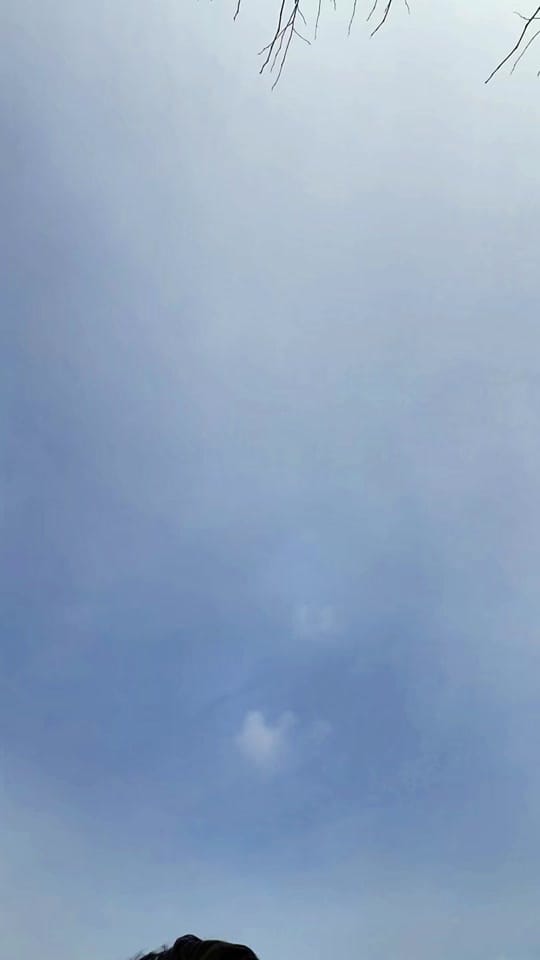 Post 4 by Alexey | cars explained on TikTok (video)
