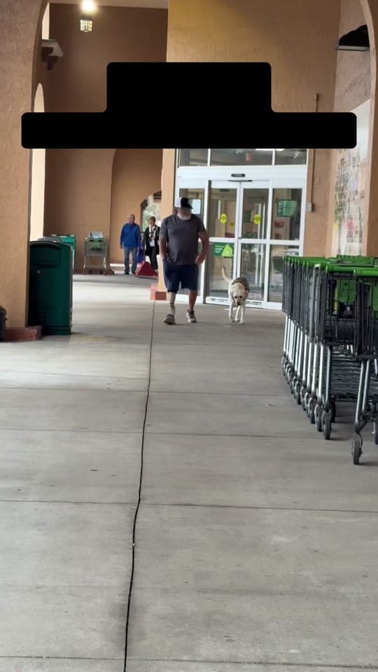 Post 1 by Skeeter The Service Dog 🐾🦿 on TikTok (video)