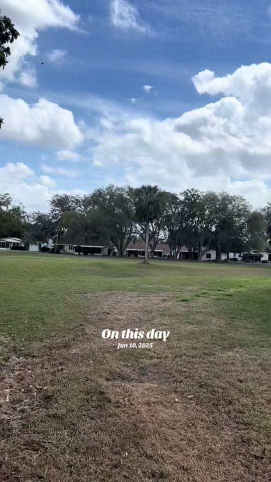 Post 4 by Skeeter The Service Dog 🐾🦿 on TikTok (video)