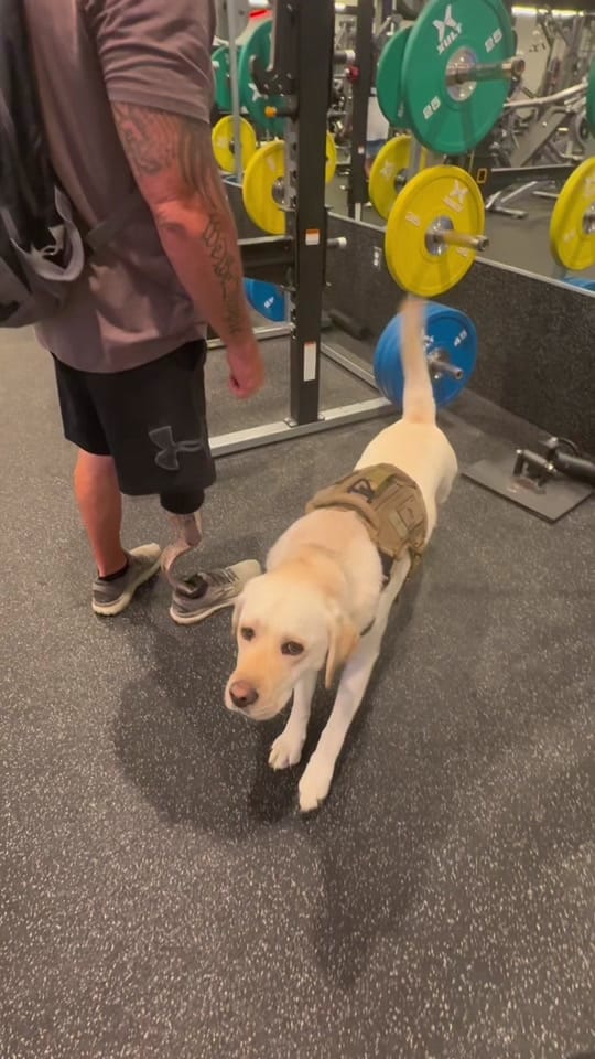 Post 6 by Skeeter The Service Dog 🐾🦿 on TikTok (video)