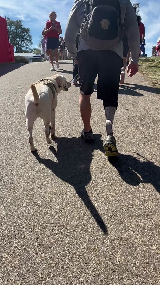 Post 7 by Skeeter The Service Dog 🐾🦿 on TikTok (video)
