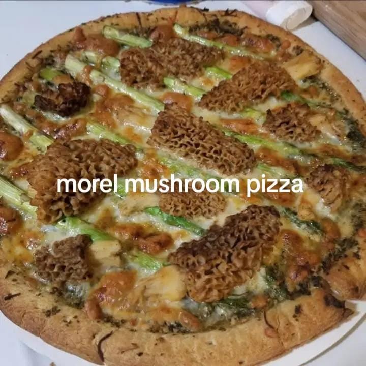 Post 3 by Jim's innovations on TikTok (video)