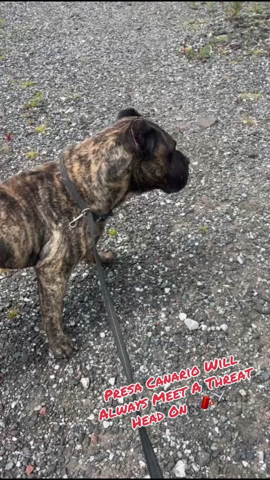 Post 3 by Rocko The RockStar 🎸 on TikTok (video)