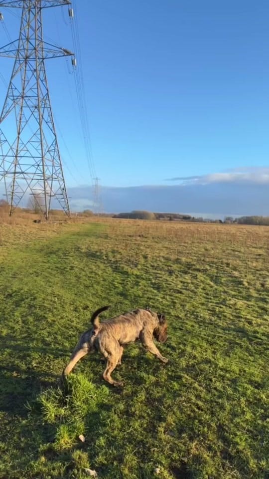 Post 7 by Rocko The RockStar 🎸 on TikTok (video)