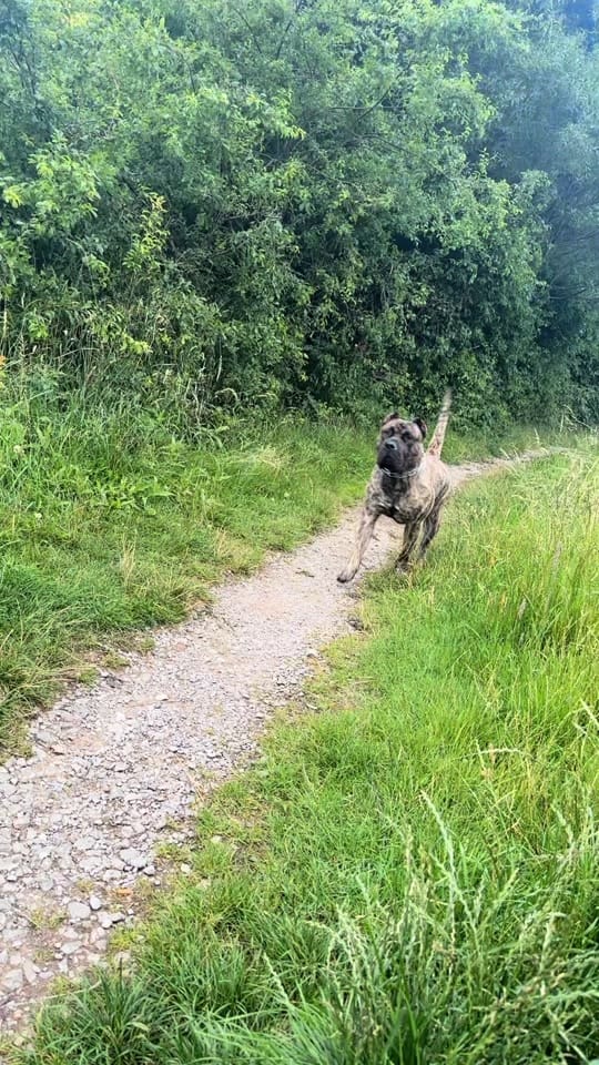Post 10 by Rocko The RockStar 🎸 on TikTok (video)