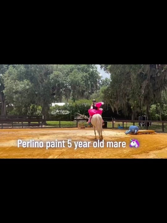Post 1 by Lacey Moorlag on TikTok (video)