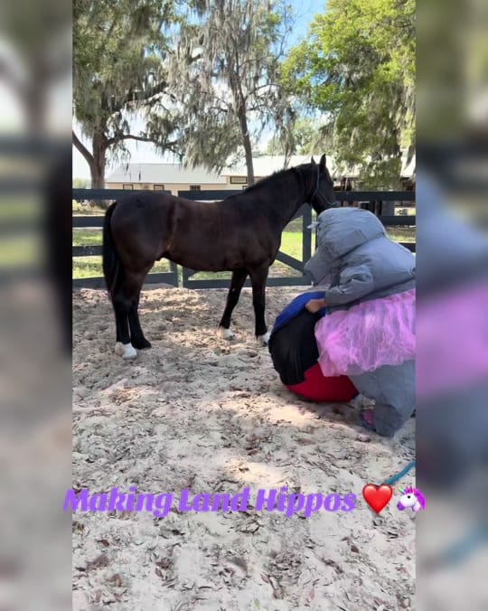 Post 4 by Lacey Moorlag on TikTok (video)