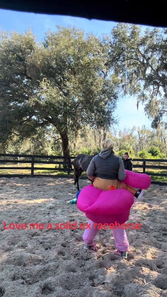 Post 6 by Lacey Moorlag on TikTok (video)