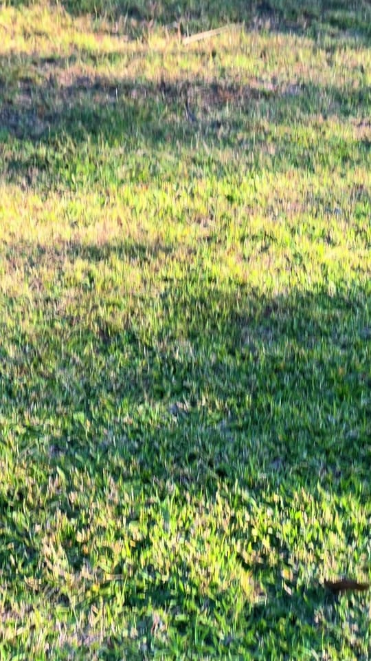 Post 5 by ⠀ on TikTok (video)