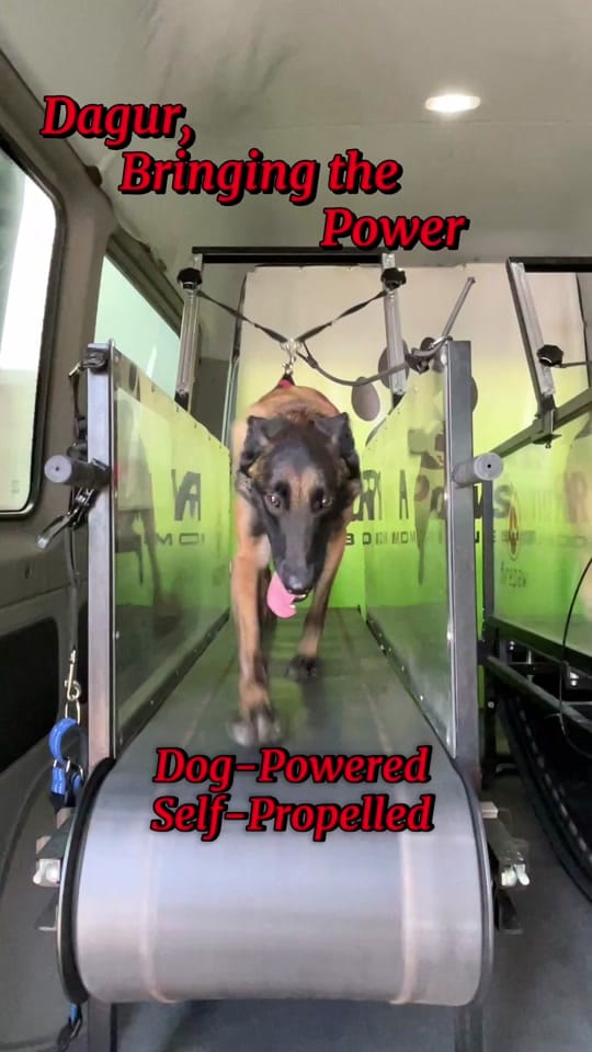 Post 6 by RunPaws.Co on TikTok (video)