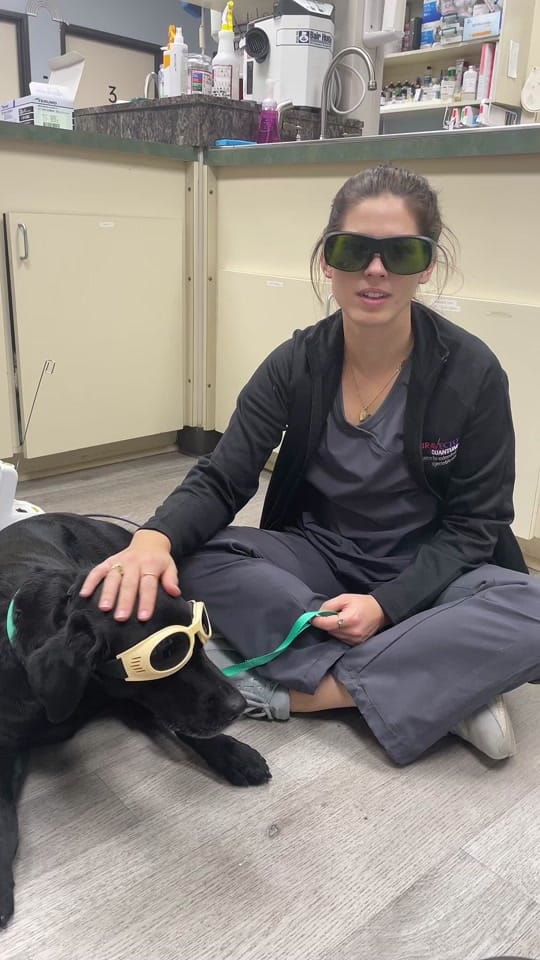 Post 2 by Vickery Place Animal Hospital on TikTok (video)