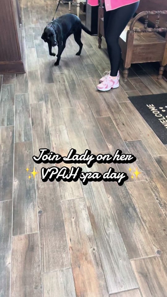 Post 1 by Vickery Place Animal Hospital on TikTok (video)