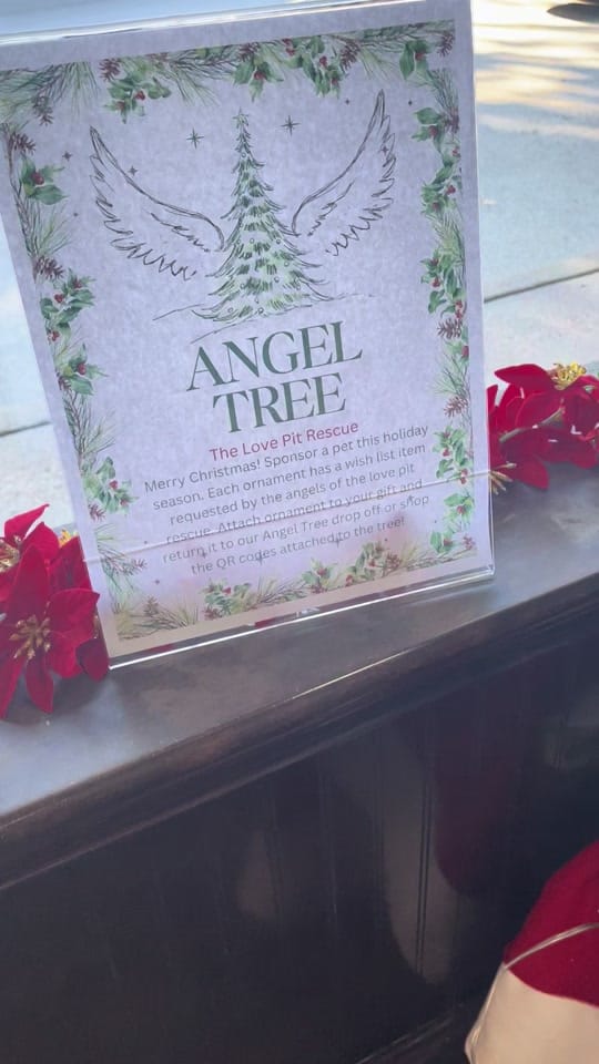 Post 8 by Vickery Place Animal Hospital on TikTok (video)