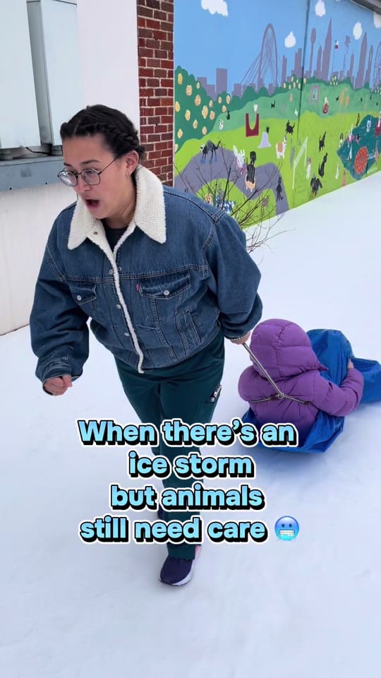 Post 3 by Vickery Place Animal Hospital on TikTok (video)