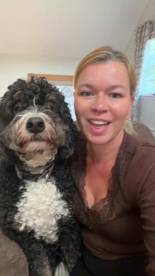 Post 1 by Benny | Therapy Dog on TikTok (video)
