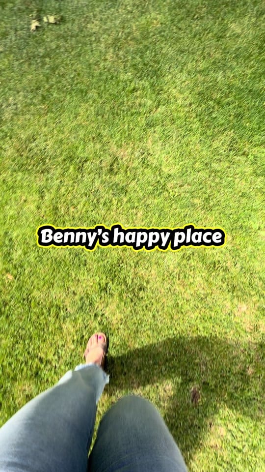 Post 3 by Benny | Therapy Dog on TikTok (video)